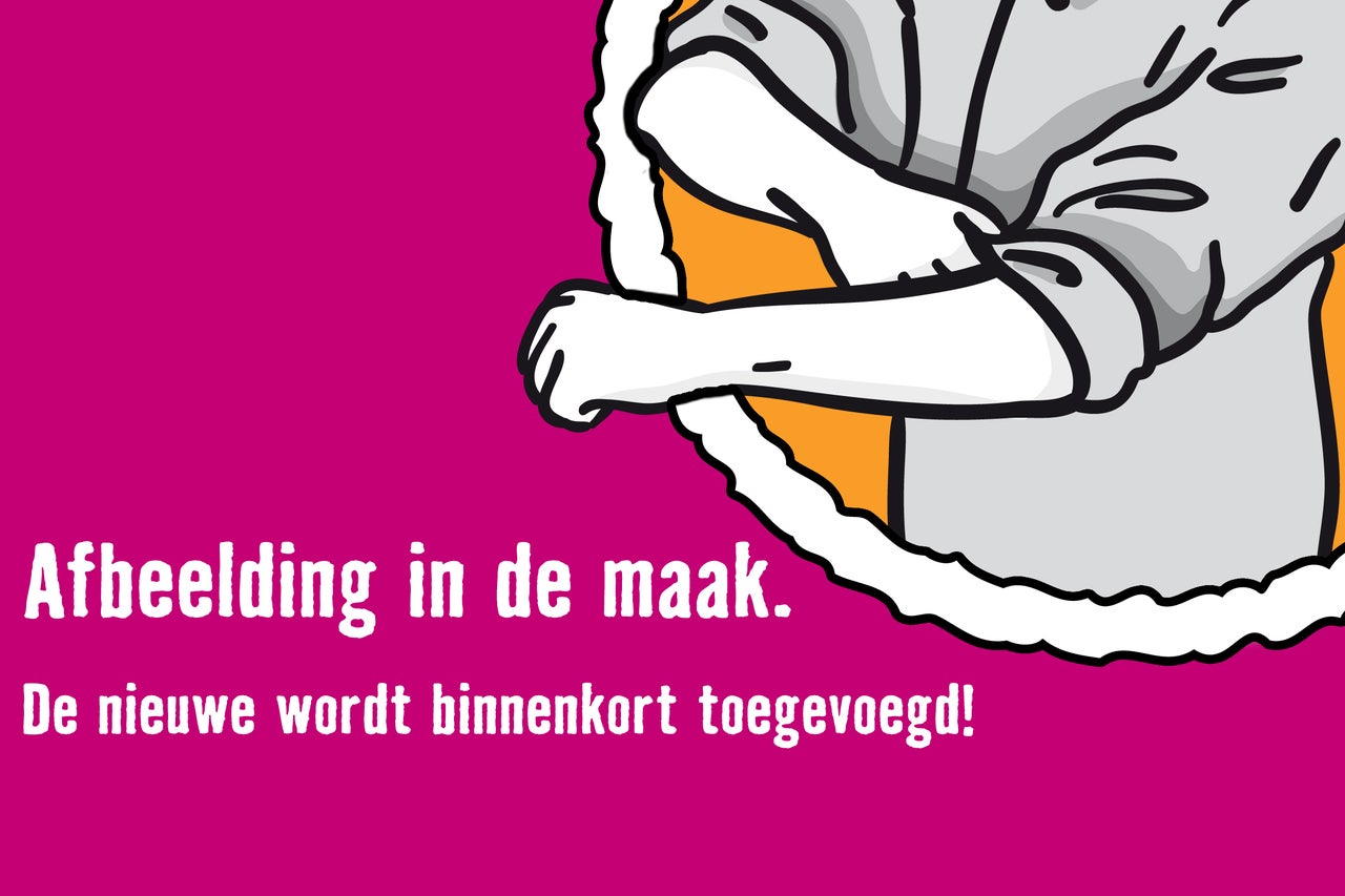 Afbeelding in de maak. De nieuwe wordt binnenkort toegevoegd!