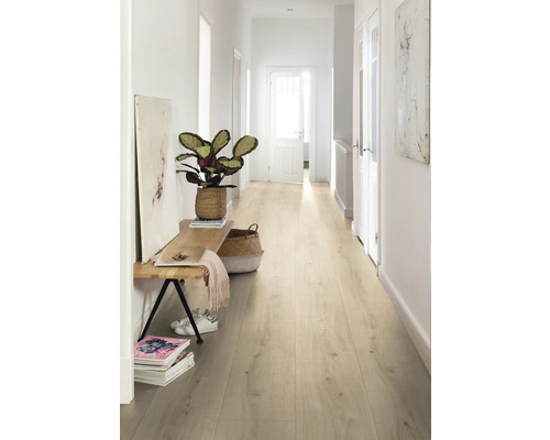 Hal met lichte laminaatvloer, bank, plant en decoraties