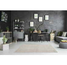 Woonkamer met vloerkleed, plank, bureau en decoratie