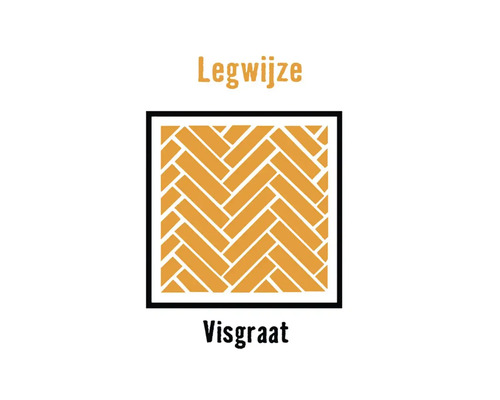 Symbool voor de legwijze visgraat