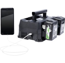 Acculader met twee accu's en een mobiele telefoon die via een USB-kabel is aangesloten