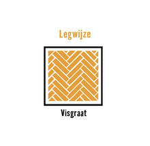 Legpatroon visgraat