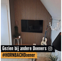 Woonkamer met houten lambrisering, televisie en gitaar
