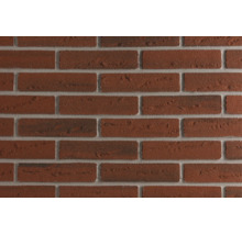 Getextureerde bakstenen muur met een onregelmatig oppervlak voor gevels of metselwerk