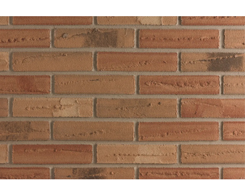 Gestructureerde bakstenen muur met ongelijkmatig oppervlak voor gevelbouw en metselwerk