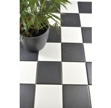 Schaakbordpatroon vloer met potplant