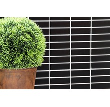 Zwarte mozaïektegels aan de wand met decoratie