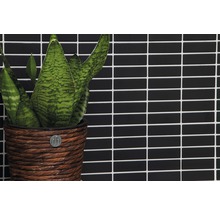 Plant in gevlochten pot voor een wand van rechthoekige tegels