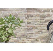 Wanddecoratie met steenmotief en kamerplant