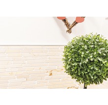 Wandtegels met steenlook en kunstmatige buxus in bolvorm als decoratie