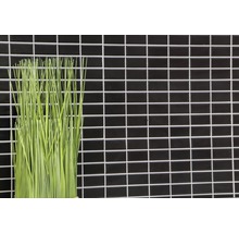 Zwarte mozaïektegels met decoratief gras
