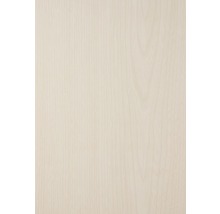 Houten plaat van licht hout