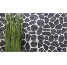 Decoratieve wandbekleding van natuursteen met een pluk gras