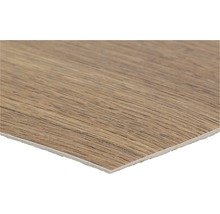 Decoratieve plaat met houtlook voor interieurbouw