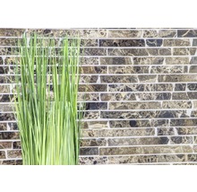 Decoratieve halmen voor een wand met steenmotief