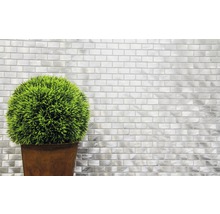 Decoratieve groene plant in een pot voor een wand met metalen mozaïektegels