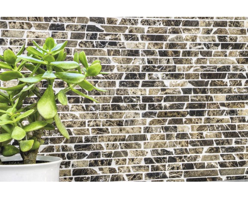 Wandtegels met steenmotief en groene kamerplant in pot