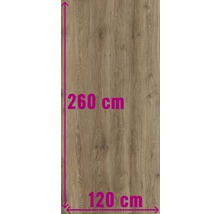 Houten paneel met afmetingen 260 bij 120 centimeter