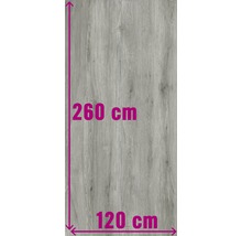 Decoratieve plaat met afmetingen van 260 cm bij 120 cm