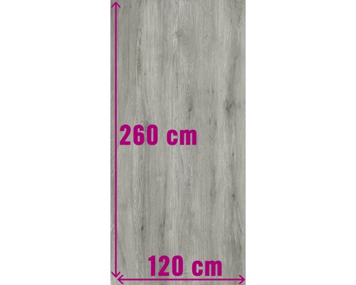 Decoratieve plaat met afmetingen van 260 cm bij 120 cm