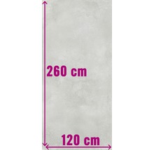 Productafmetingen: 260 cm hoogte, 120 cm breedte