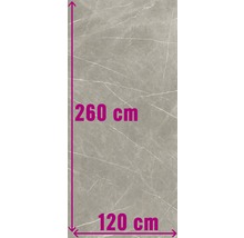 Tegel met afmetingen 260 cm bij 120 cm.