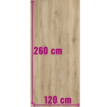 Houten paneel met de afmetingen 260 cm bij 120 cm