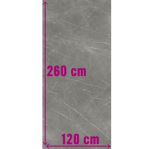 Grote grijze wandtegel met marmerstructuur, 260 cm hoog en 120 cm breed