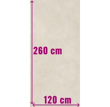 Afmetingen: 260 cm hoog, 120 cm breed.