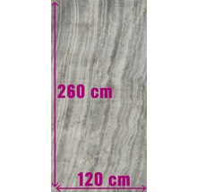Grote wandtegel met afmetingen van 260 cm bij 120 cm.