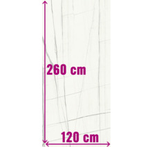 Tegelvoorbeeld met afmetingen: 260 cm hoog, 120 cm breed