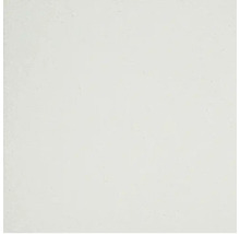Witte gipspleister