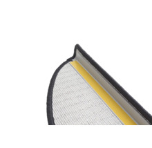 Detailopname van een insectenhor met plakstrip