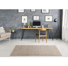 Woonkamer met bank, bureau, stoel en tapijt