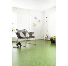 Woonkamer met groene vloerbedekking, stoel en surfplank