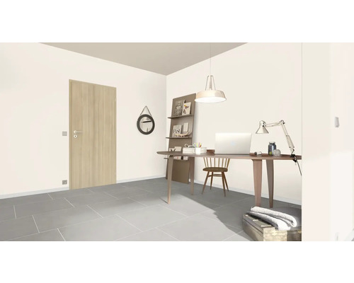 Kantoor met bureau, stoel, planken en deur
