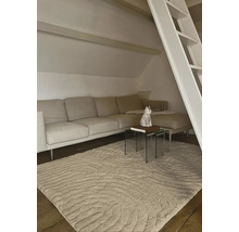 Woonkamer met bank, vloerkleed en bijzettafels in een zolderappartement.