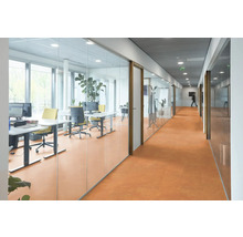 Kantoorgang met kantoren achter glazen wanden, bureaus en bureaustoelen