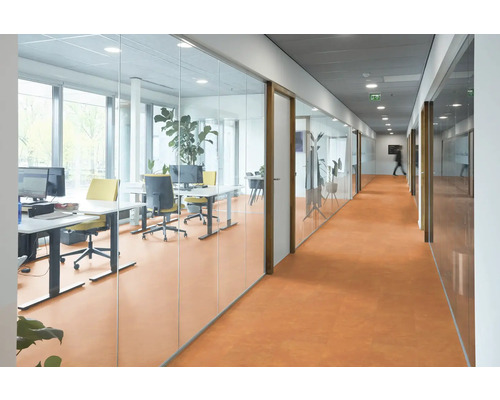 Kantoorgang met kantoren achter glazen wanden, bureaus en bureaustoelen
