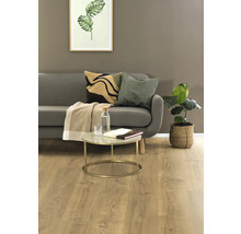 Woonkamer met bank, salontafel en kamerplant.