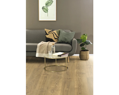 Woonkamer met bank, salontafel en kamerplant.
