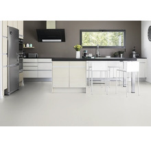 Moderne keuken met kookeiland, koelkast, afzuigkap en raam