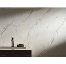 Badkamer met wastafel, kraan en wanddecoratie in marmerstijl