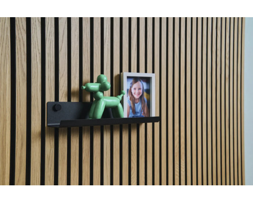 Wandpaneel met plank, ballonhondfiguur en fotolijst