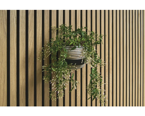 Decoratieve wand met houten panelen en potplant