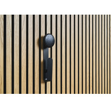 Houten wandpaneel met zwarte kledinghaak