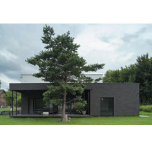 Modern huis met donkere gevel en boom in de voortuin.