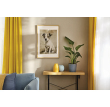 Lichte woonkamer met gestructureerd behang, een ingelijst hondenportret, een consoletafel met een kamerplant en vazen, en gordijnen.