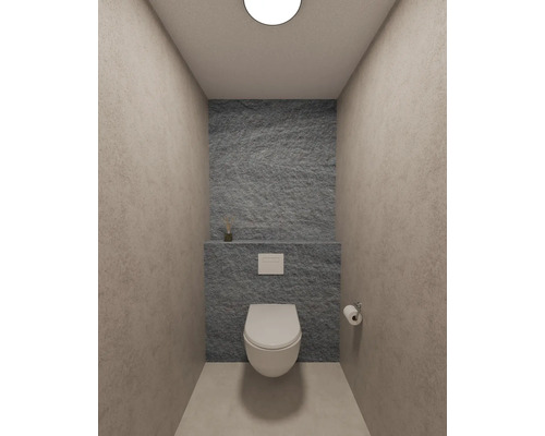Modern, minimalistisch gastentoilet met hangend toilet en wandpanelen in steenlook in een georganiseerde omgeving.
