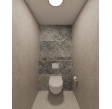 Modern toilet met wandcloset, bedieningspaneel en achterwand in natuursteenlook met lichte zijwanden.